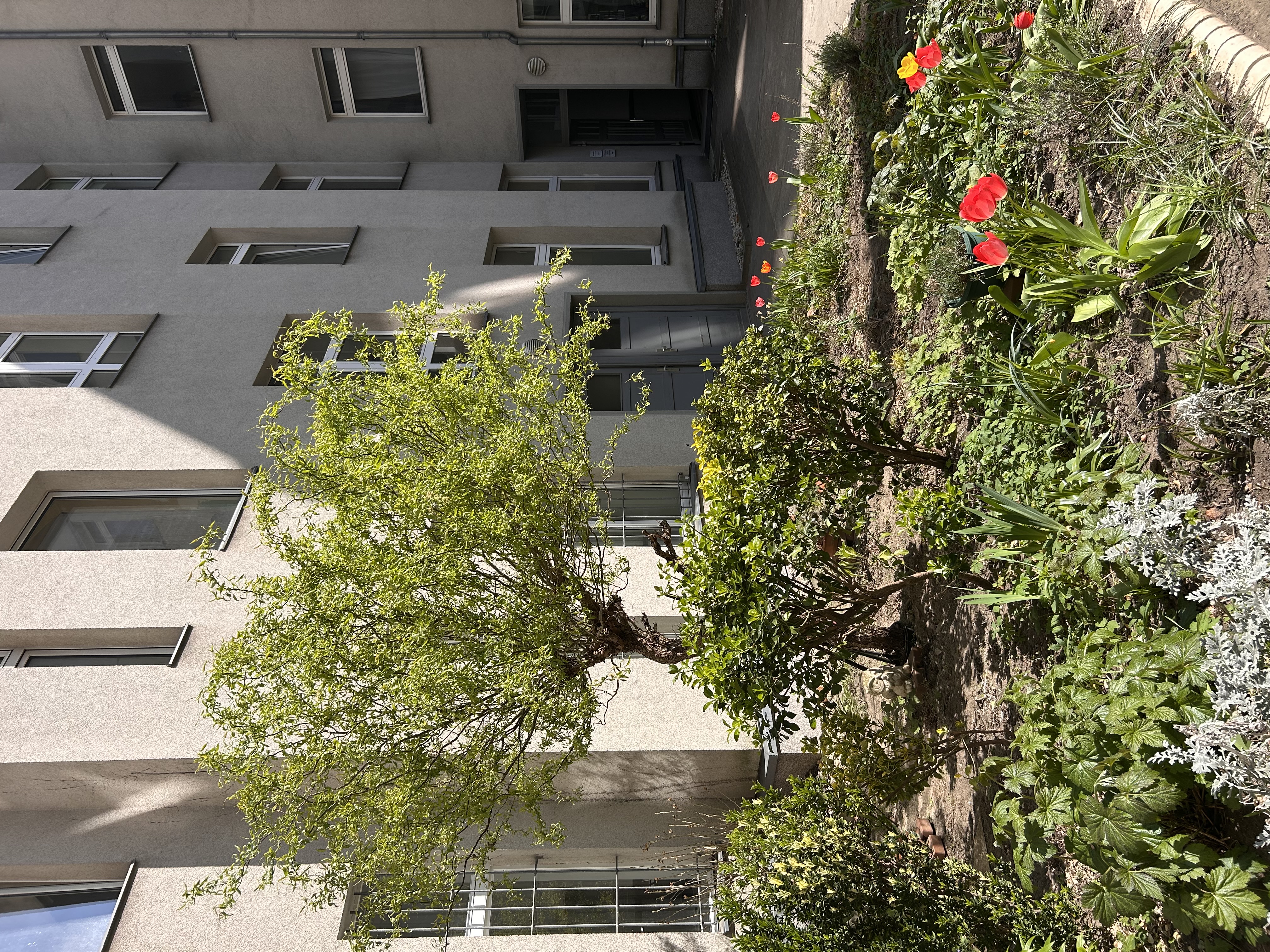 Innenhof Blick Seitenflügel 