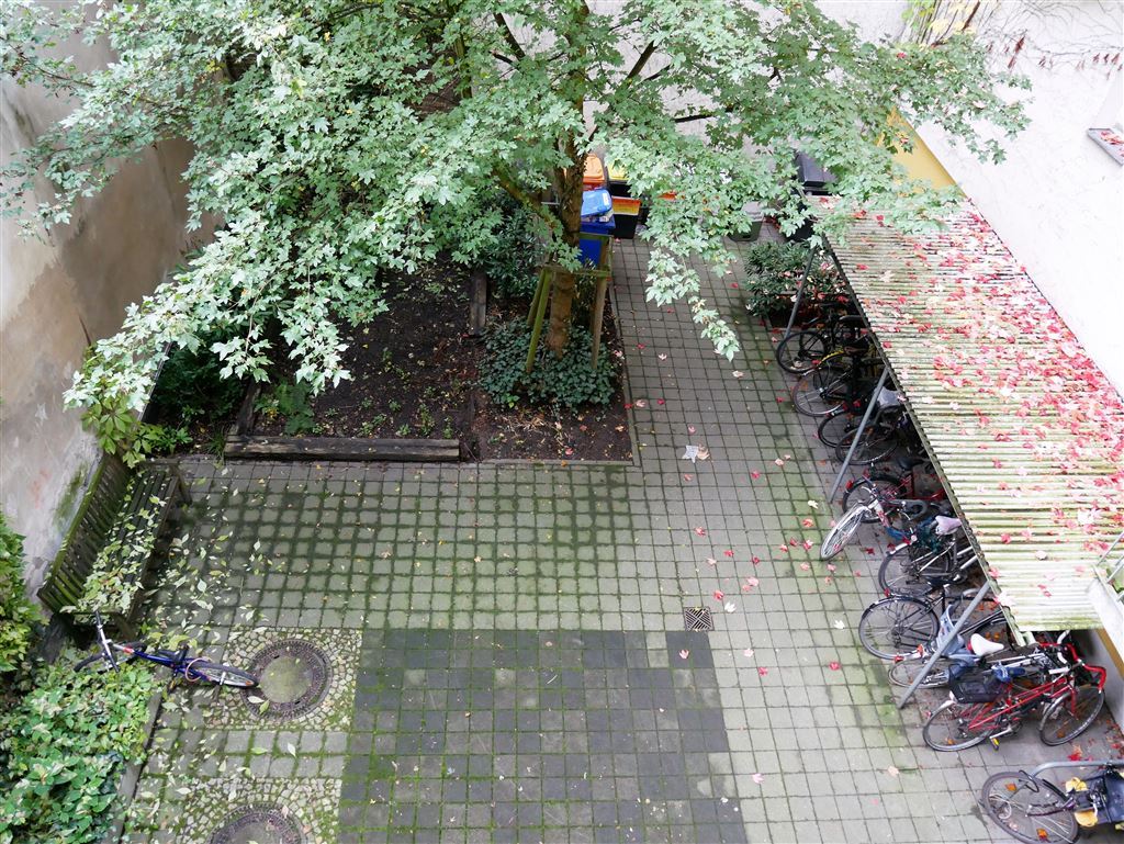 Hofblick