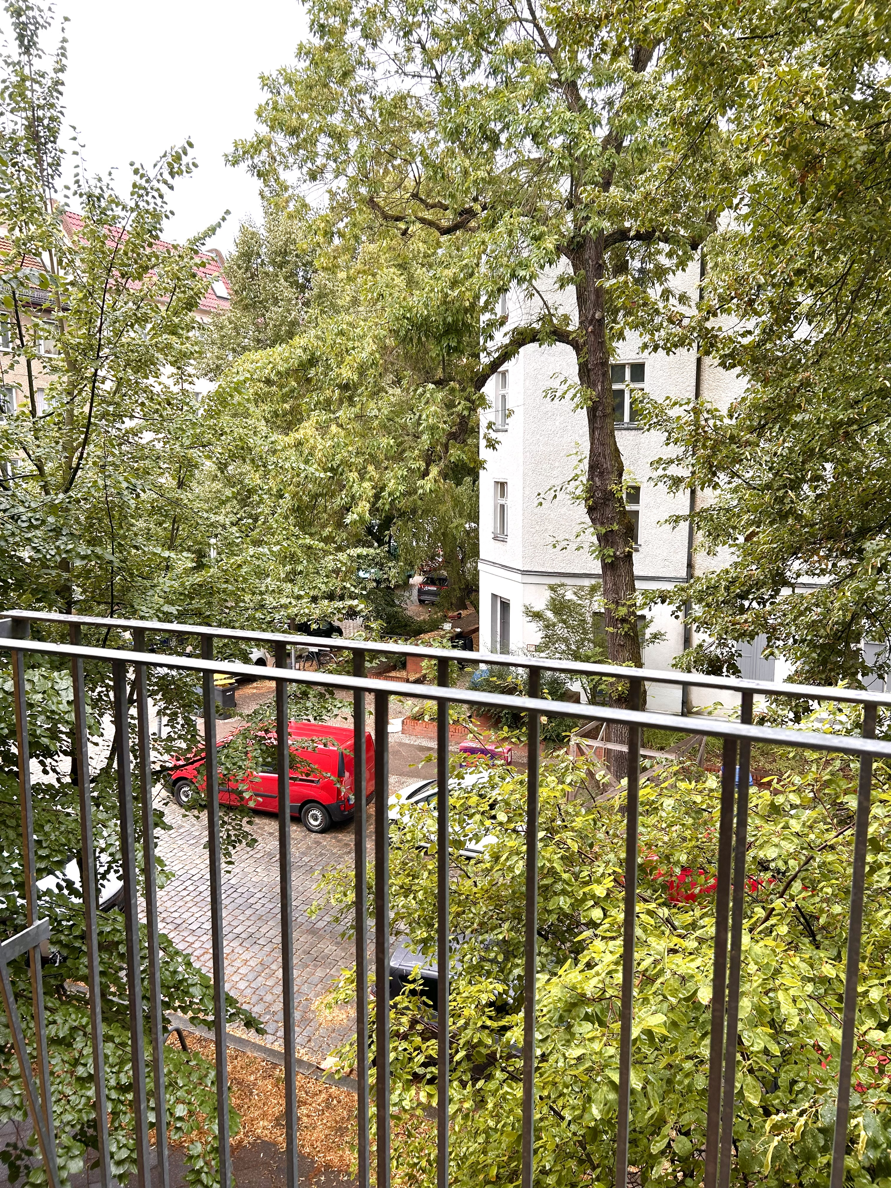 Ausblick ins Grüne