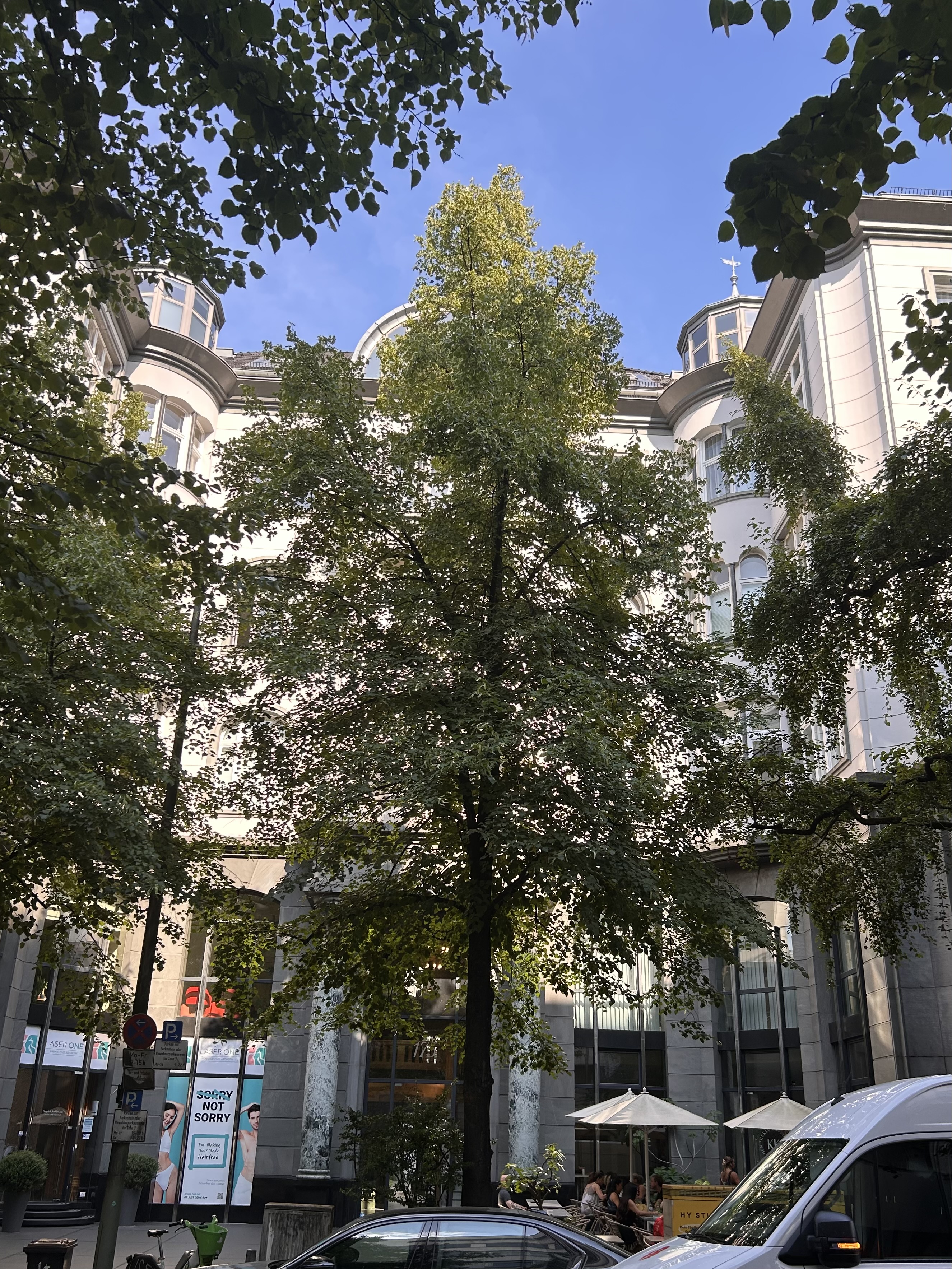 Hausansicht im Sommer